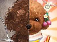 Pet Makeup Master image